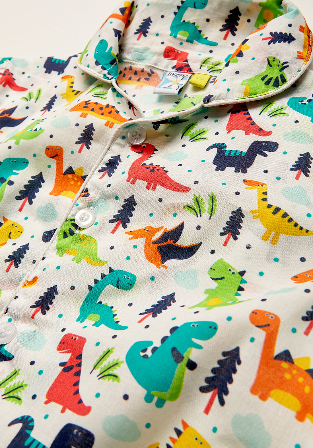 DASHING DINOSAUR NIGHT WEAR SET