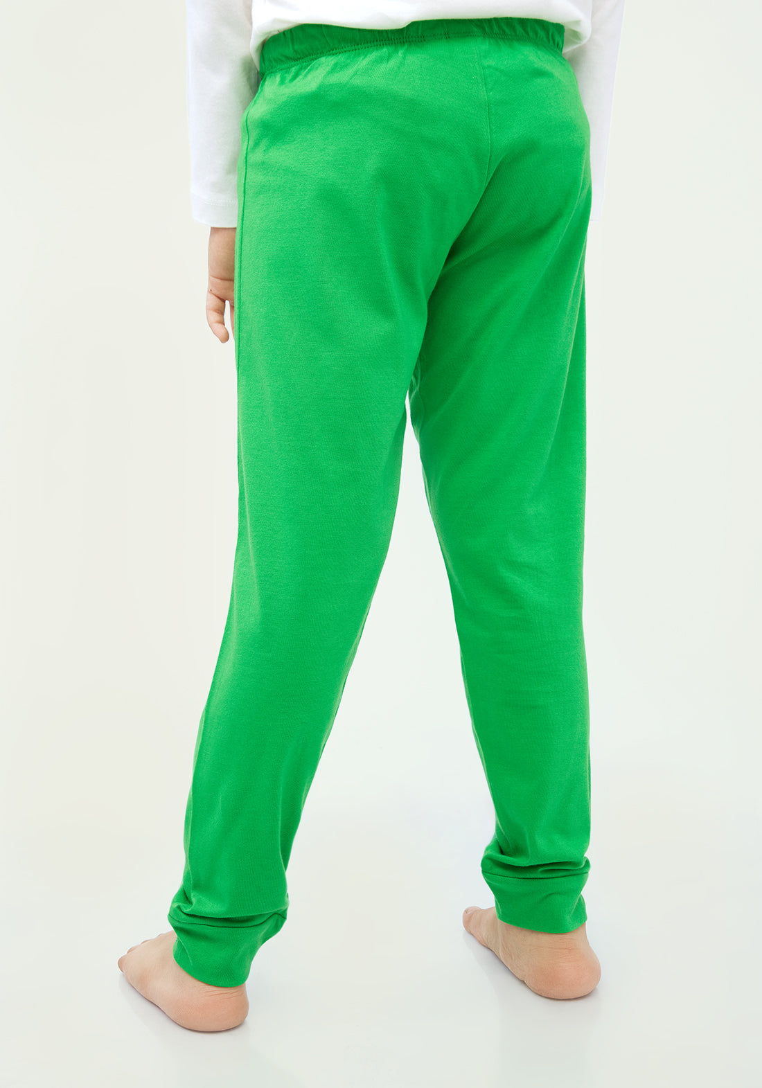 GREEN AND BLUE ZEBRA PRINT KNITTED PANTS