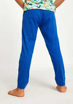 RED, GREEN AND BLUE DINOSAUR PRINT KNITTED PANTS