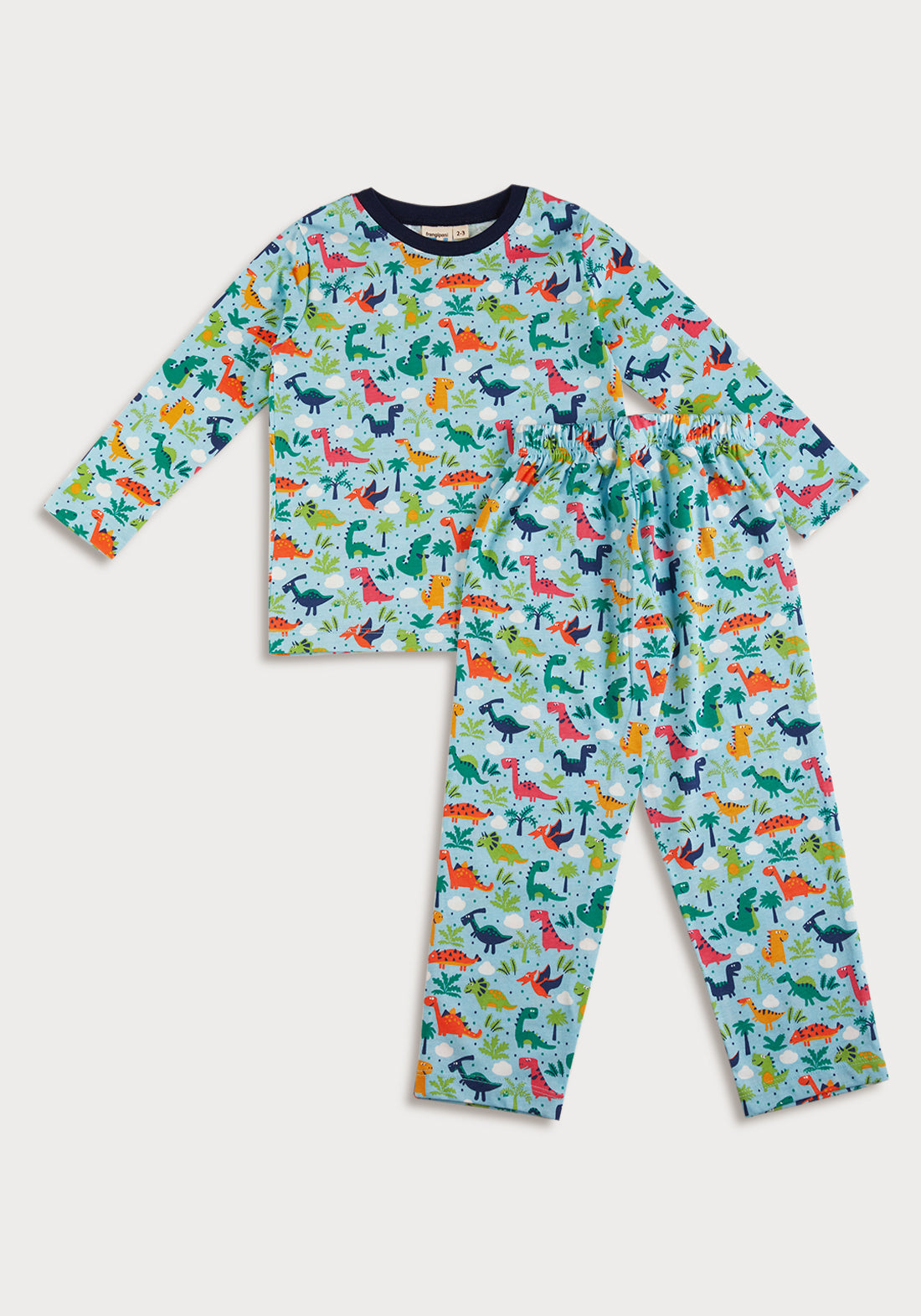 Dinosaur girls outlet pyjamas