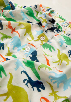 Dinosaur Park Night Wear Set